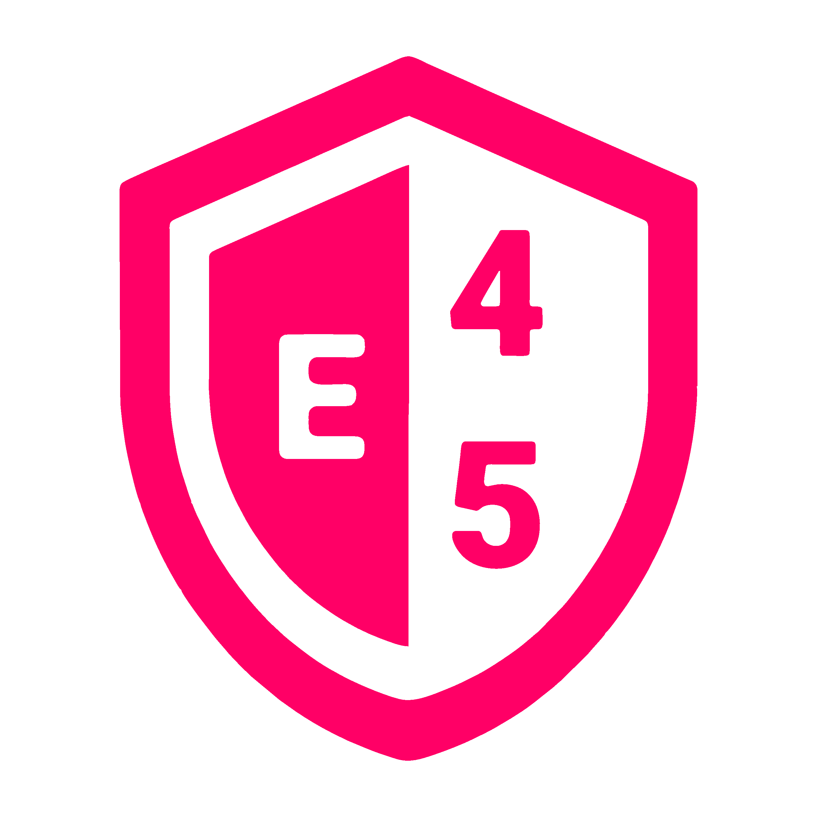 E45 game