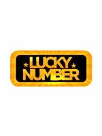 Lucky Number Logo
